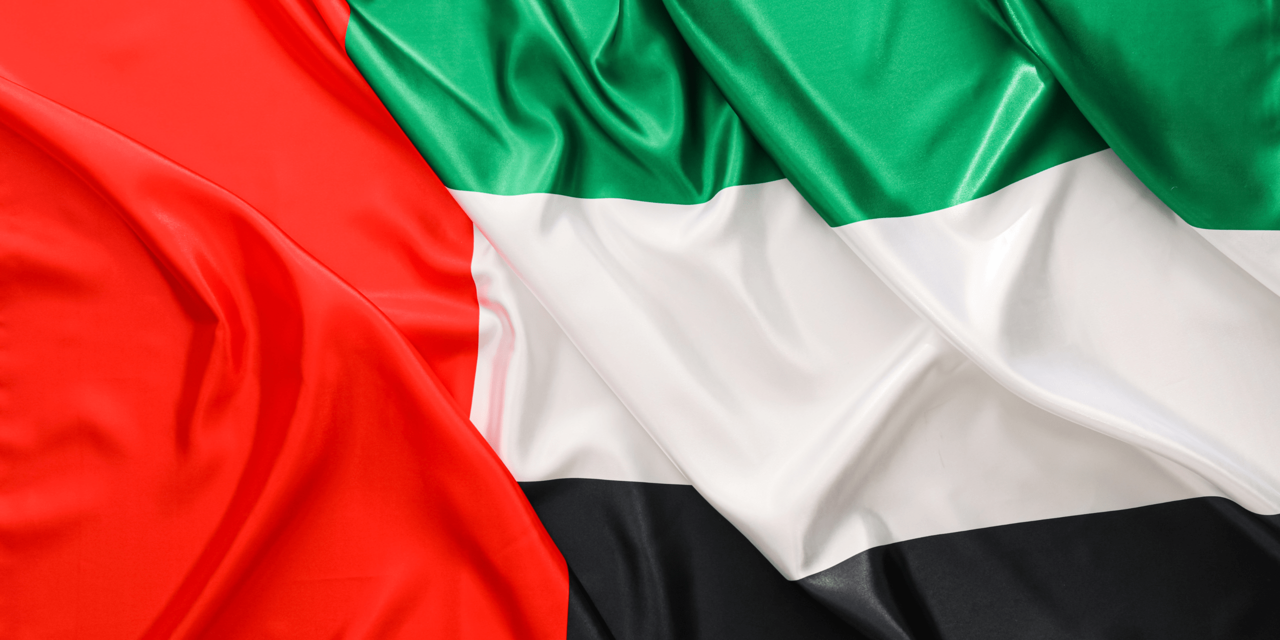 Dubai Flag